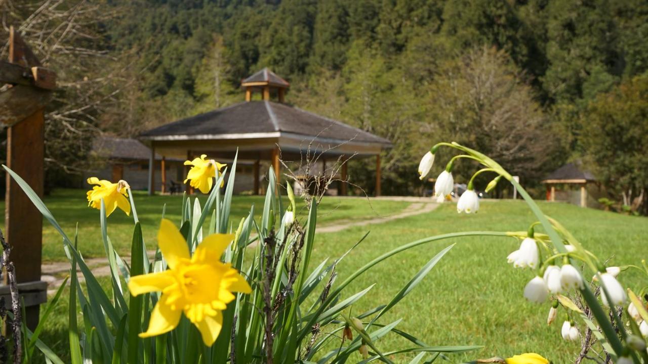 El Pangue Lodge Puerto Puyuguapi Exteriör bild